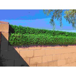 Haven Mini™ 10 Inch Fence Extender