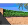 Haven Mini™ 10 Inch Fence Extender